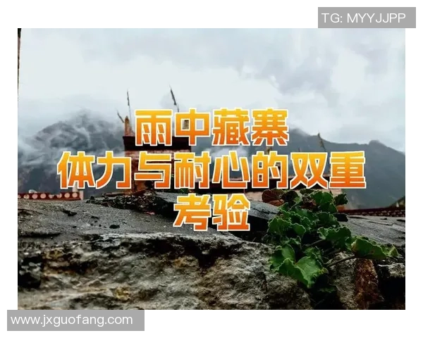 深圳攀岩队攻防分析：技术与策略的双重考验与反思
