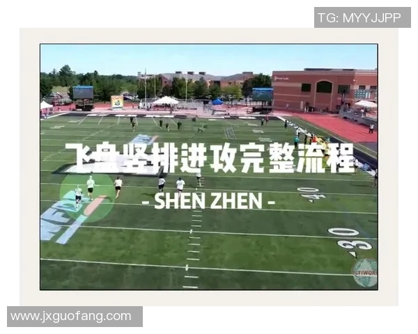 深圳飞盘队的战术分析与比赛表现评析